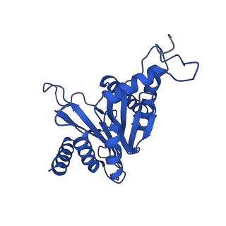 27015_8cvs_T_v1-0
Human PA200-20S proteasome with MG-132