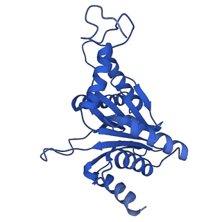 27015_8cvs_U_v1-0
Human PA200-20S proteasome with MG-132