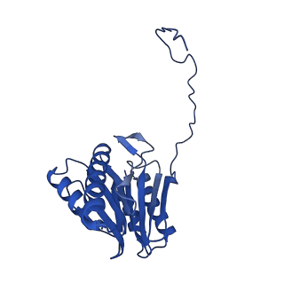 27015_8cvs_V_v1-0
Human PA200-20S proteasome with MG-132