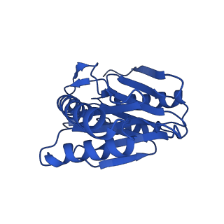 27015_8cvs_W_v1-0
Human PA200-20S proteasome with MG-132