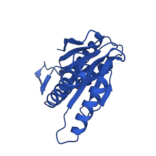 27015_8cvs_X_v1-0
Human PA200-20S proteasome with MG-132