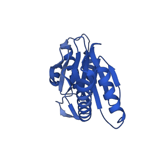 27015_8cvs_Y_v1-0
Human PA200-20S proteasome with MG-132