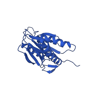 27015_8cvs_Z_v1-0
Human PA200-20S proteasome with MG-132