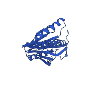 27015_8cvs_a_v1-0
Human PA200-20S proteasome with MG-132