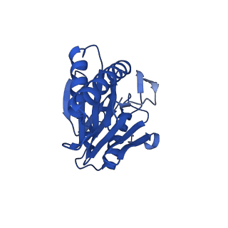 27015_8cvs_b_v1-0
Human PA200-20S proteasome with MG-132
