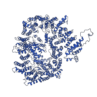 27015_8cvs_c_v1-0
Human PA200-20S proteasome with MG-132