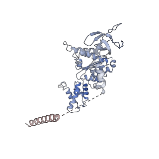 27018_8cvt_A_v1-0
Human 19S-20S proteasome, state SD2