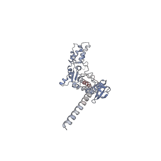 27018_8cvt_D_v1-0
Human 19S-20S proteasome, state SD2