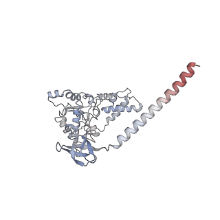 27018_8cvt_E_v1-0
Human 19S-20S proteasome, state SD2