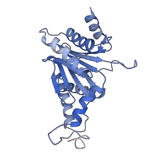 27018_8cvt_G_v1-0
Human 19S-20S proteasome, state SD2
