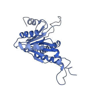 27018_8cvt_H_v1-0
Human 19S-20S proteasome, state SD2