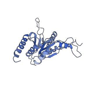 27018_8cvt_I_v1-0
Human 19S-20S proteasome, state SD2