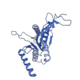 27018_8cvt_J_v1-0
Human 19S-20S proteasome, state SD2