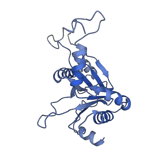 27018_8cvt_K_v1-0
Human 19S-20S proteasome, state SD2