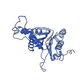 27018_8cvt_L_v1-0
Human 19S-20S proteasome, state SD2