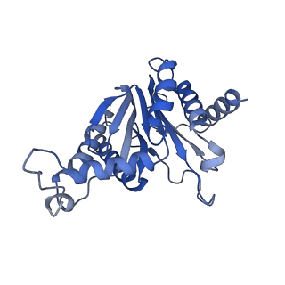 27018_8cvt_M_v1-0
Human 19S-20S proteasome, state SD2