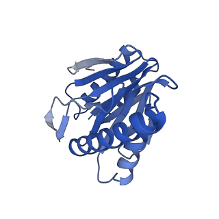27018_8cvt_N_v1-0
Human 19S-20S proteasome, state SD2