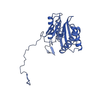 27018_8cvt_O_v1-0
Human 19S-20S proteasome, state SD2