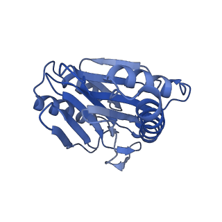 27018_8cvt_P_v1-0
Human 19S-20S proteasome, state SD2