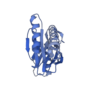 27018_8cvt_R_v1-0
Human 19S-20S proteasome, state SD2