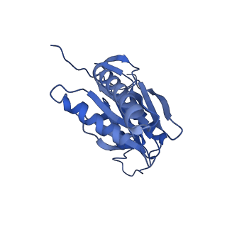 27018_8cvt_S_v1-0
Human 19S-20S proteasome, state SD2