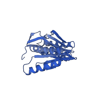 27018_8cvt_T_v1-0
Human 19S-20S proteasome, state SD2