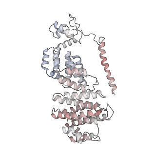 27018_8cvt_V_v1-0
Human 19S-20S proteasome, state SD2