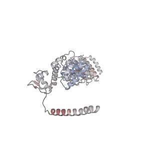 27018_8cvt_W_v1-0
Human 19S-20S proteasome, state SD2