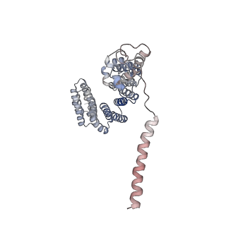 27018_8cvt_X_v1-0
Human 19S-20S proteasome, state SD2