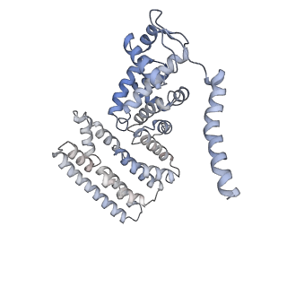 27018_8cvt_Y_v1-0
Human 19S-20S proteasome, state SD2