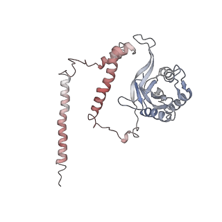 27018_8cvt_Z_v1-0
Human 19S-20S proteasome, state SD2