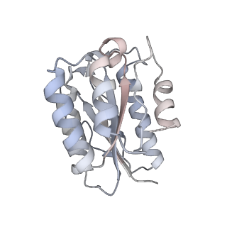 27018_8cvt_b_v1-0
Human 19S-20S proteasome, state SD2