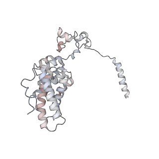27018_8cvt_d_v1-0
Human 19S-20S proteasome, state SD2