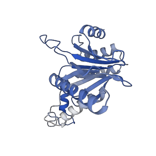 27018_8cvt_g_v1-0
Human 19S-20S proteasome, state SD2