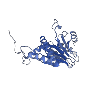 27018_8cvt_h_v1-0
Human 19S-20S proteasome, state SD2