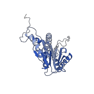 27018_8cvt_i_v1-0
Human 19S-20S proteasome, state SD2