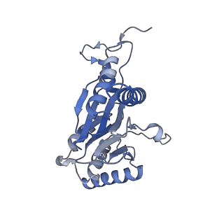 27018_8cvt_j_v1-0
Human 19S-20S proteasome, state SD2