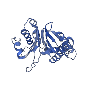 27018_8cvt_l_v1-0
Human 19S-20S proteasome, state SD2