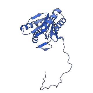 27018_8cvt_o_v1-0
Human 19S-20S proteasome, state SD2