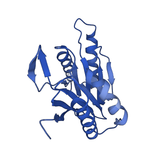 27018_8cvt_q_v1-0
Human 19S-20S proteasome, state SD2