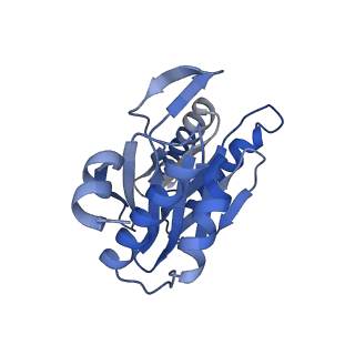 27018_8cvt_r_v1-0
Human 19S-20S proteasome, state SD2