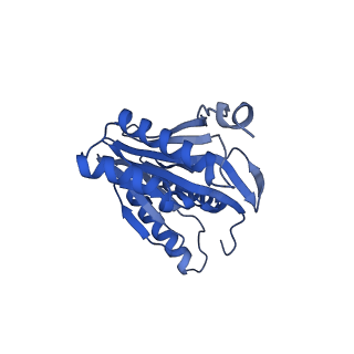 27018_8cvt_t_v1-0
Human 19S-20S proteasome, state SD2