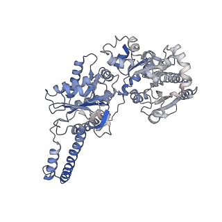 27020_8cvx_A_v1-2
Human glycogenin-1 and glycogen synthase-1 complex in the presence of glucose-6-phosphate