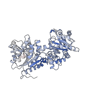 27020_8cvx_B_v1-2
Human glycogenin-1 and glycogen synthase-1 complex in the presence of glucose-6-phosphate