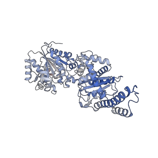 27020_8cvx_C_v1-2
Human glycogenin-1 and glycogen synthase-1 complex in the presence of glucose-6-phosphate
