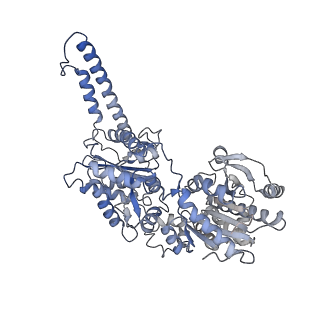 27020_8cvx_D_v1-2
Human glycogenin-1 and glycogen synthase-1 complex in the presence of glucose-6-phosphate