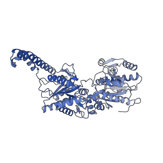 27021_8cvy_A_v1-2
Human glycogenin-1 and glycogen synthase-1 complex in the apo mobile state