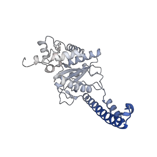 27021_8cvy_B_v1-2
Human glycogenin-1 and glycogen synthase-1 complex in the apo mobile state
