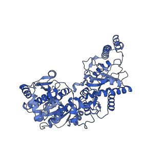 27021_8cvy_C_v1-2
Human glycogenin-1 and glycogen synthase-1 complex in the apo mobile state