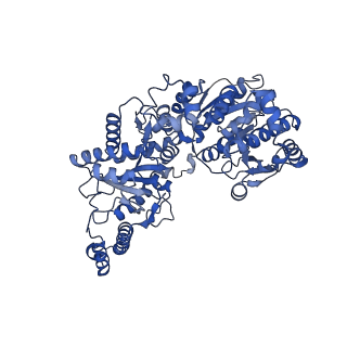 27021_8cvy_D_v1-2
Human glycogenin-1 and glycogen synthase-1 complex in the apo mobile state